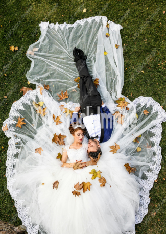Wedding Bride Groom